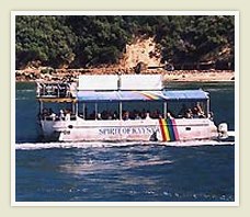 Garden route tour - 4 days - Featherbed Ferry